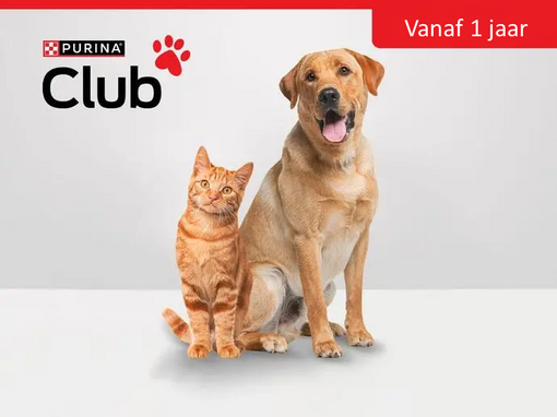 Purina Club Adult