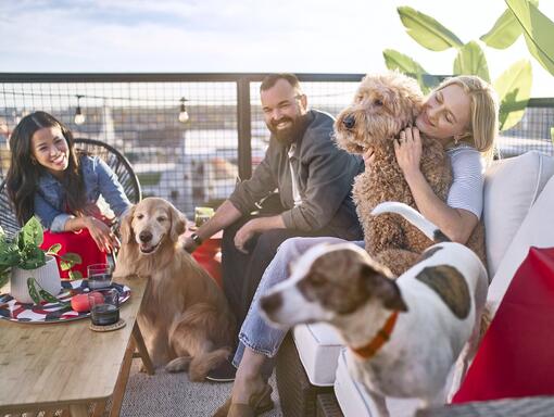 Notre rapport Purina in Society 2020