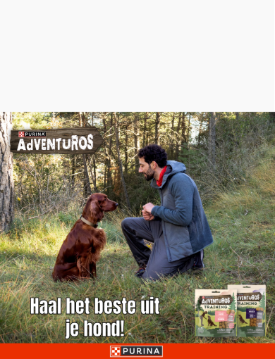 Adventuros NL - Mobile