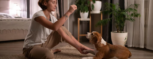 Femme dressant son chien