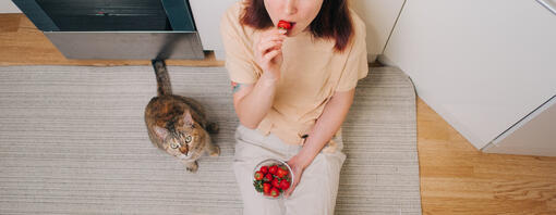 Mogen katten aardbeien eten?