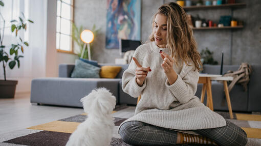 Femme qui dresse un chien