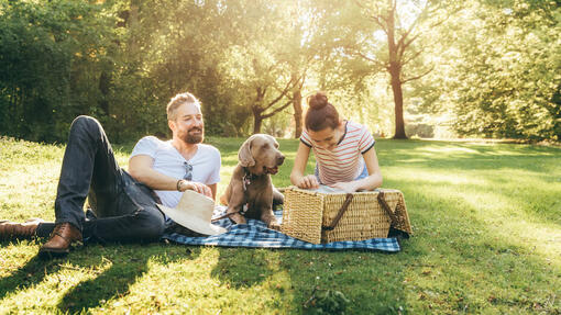 Famille dans un parc