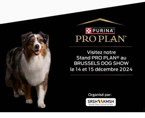 Purina be clearance