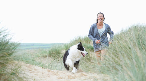 Chien à la plage avec son maître