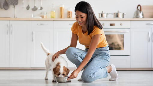 vrouw en hond in de keuken