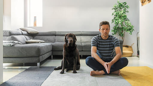 man mediteert met hond