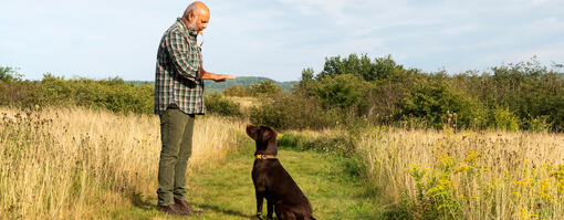 man traint hond op een veld