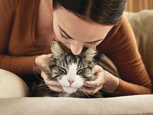 Hypoallergische baasje en kat