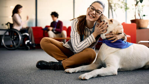 femme qui étreint un labrador blond 