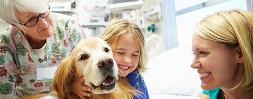 golden retriever omringd door gezin