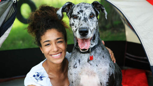 vrouw met arm rond een Duitse dog
