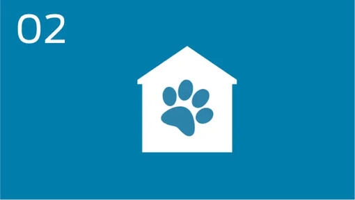infographie d'un pion de chien à l'intérieur d'une maison