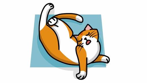 kat die in acrobaathouding slaapt