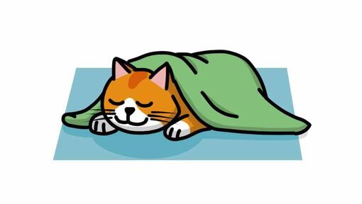 kat in slaaphouding