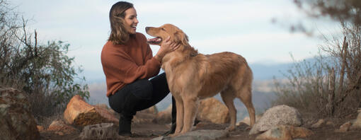 Golden retriever avec son propriétaire sur un sentier de montagne.