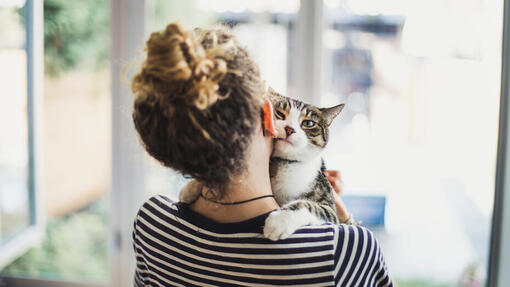 femme qui tient un chat dans ses bras