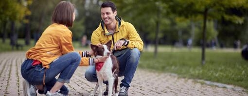 un homme et une femme caressent un chien dans un parc
