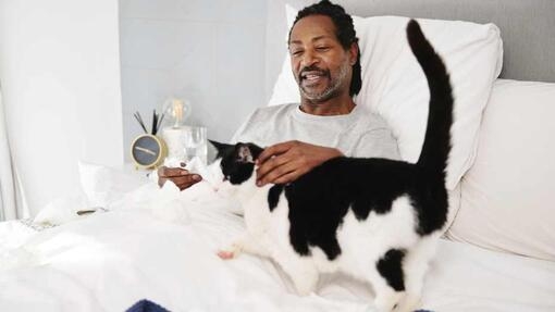 chat sur lit d’un homme malade