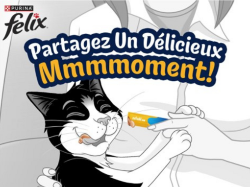 Friandises Deli Moments FELIX