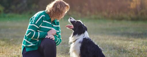 bordercollie buiten met zijn baasje