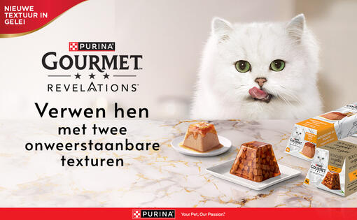 Gourmet Revelations