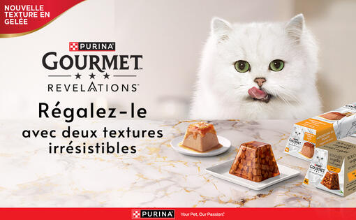 Gourmet Revelations