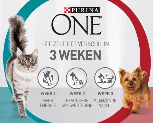 Purina ONE 3-weekse Challenge voor honden en katten
