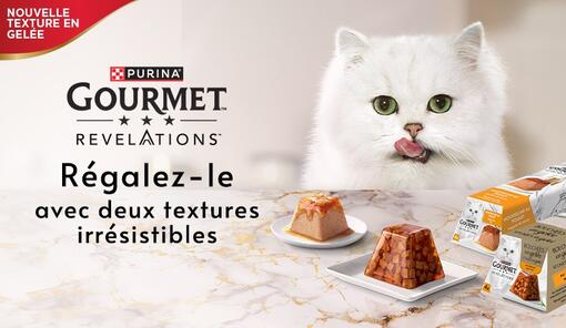 Gourmet Revelations