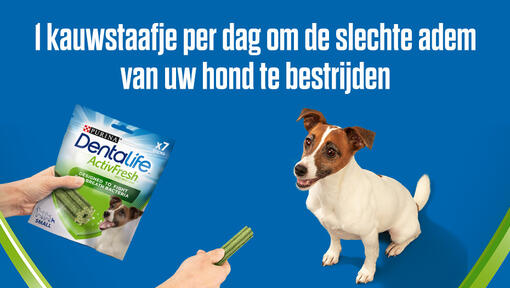 Voordelen van DentaLife™ Activfresh