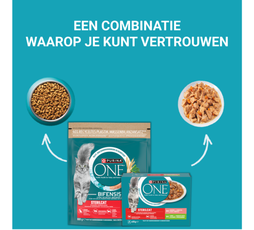 Droogvoer of natvoer: aangepast aan de voedingsbehoeften van elke kat