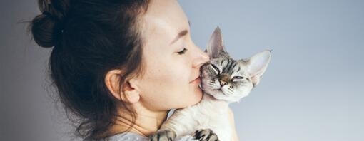 Idées de prénoms pour chat femelle