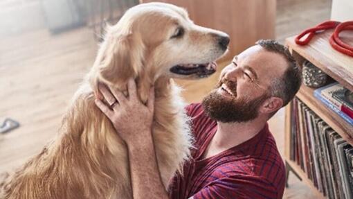 man met golden retriever