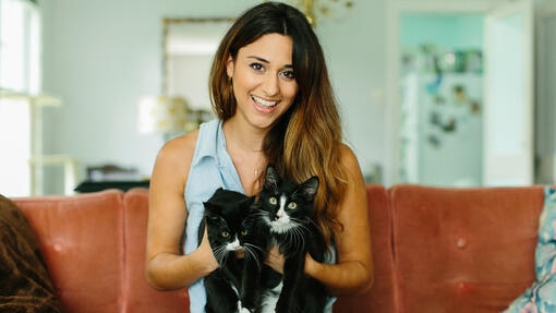 Deux chats assis sur le canapé