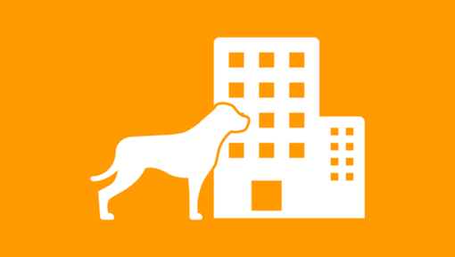 Hond bij kantoorgebouw infographic