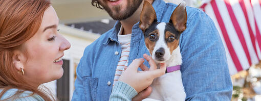 De juiste kleine hond kiezen voor uw gezin