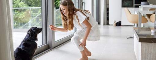 De Meisje voert de hond