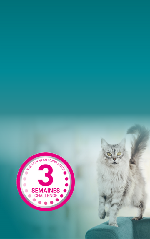 ONE 3WC banner mobile