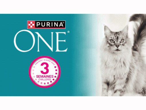 PURINA ONE Cat 3WC GIF mobile FR