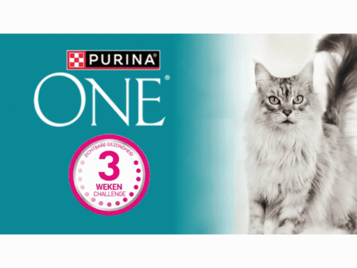 PURINA ONE Cat 3WC GIF mobile