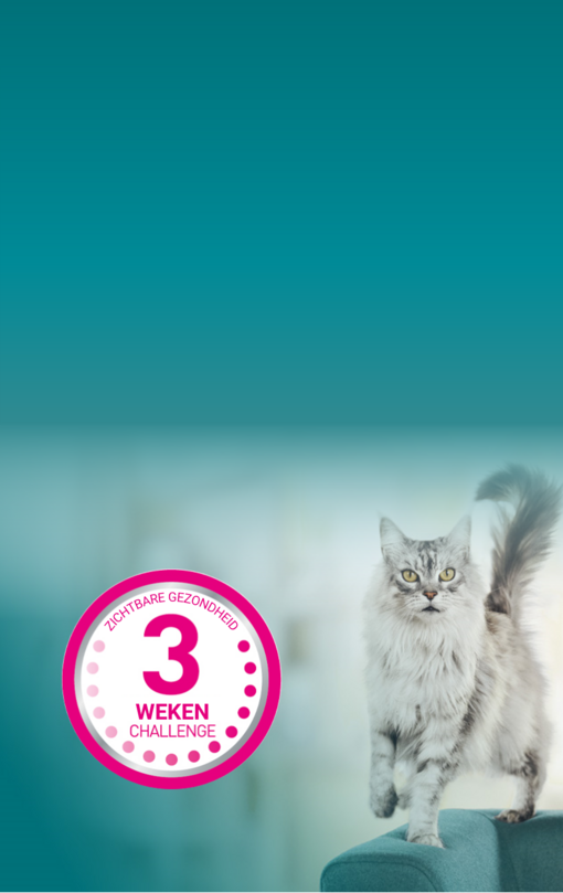 PURINA ONE Cat 3WC banner mobile NL