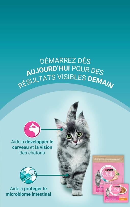 Chaton PURINA ONE