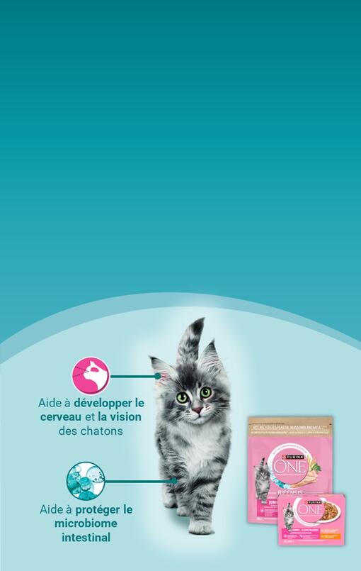 ONE Junior Banner FR mobile