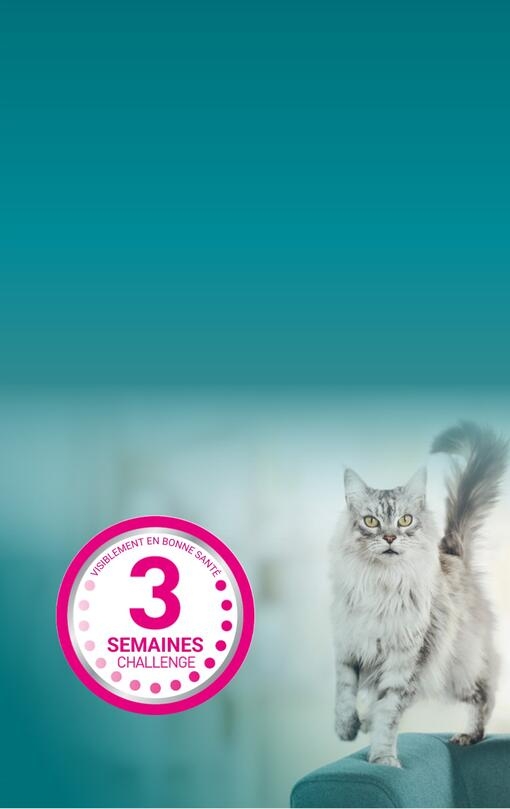 ONE 3WC Banner Mobile FR