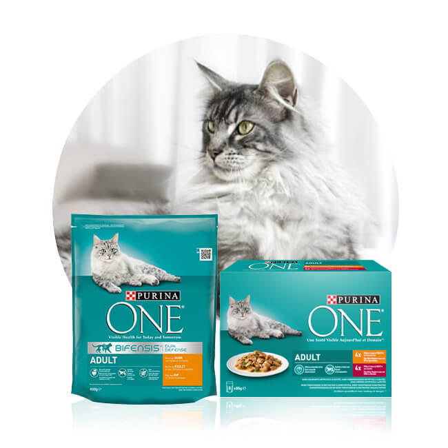 Adult Cat Mixed Feeding Purina ONE Gecombineerde Voeding Volwassen Kat