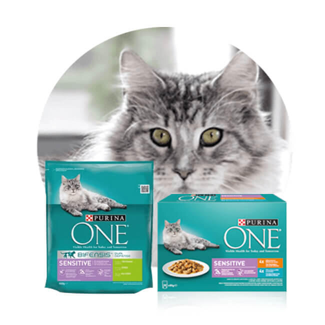 Sensitive Cat Mixed Feeding Purina ONE Gecombineerde Voeding Sensitive voor gevoelige katten