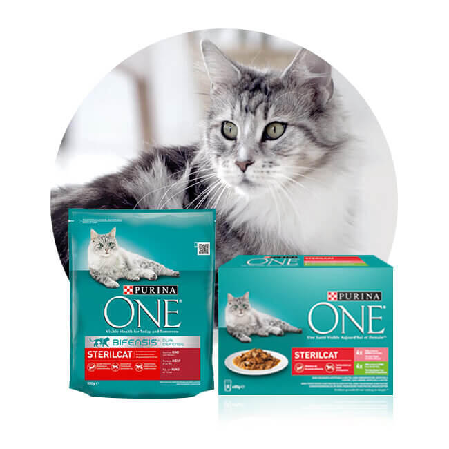 Sterilcat Mixed Feeding Purina ONE Gecombineerde Voeding Sterilcat voor gesteriliseerd katten