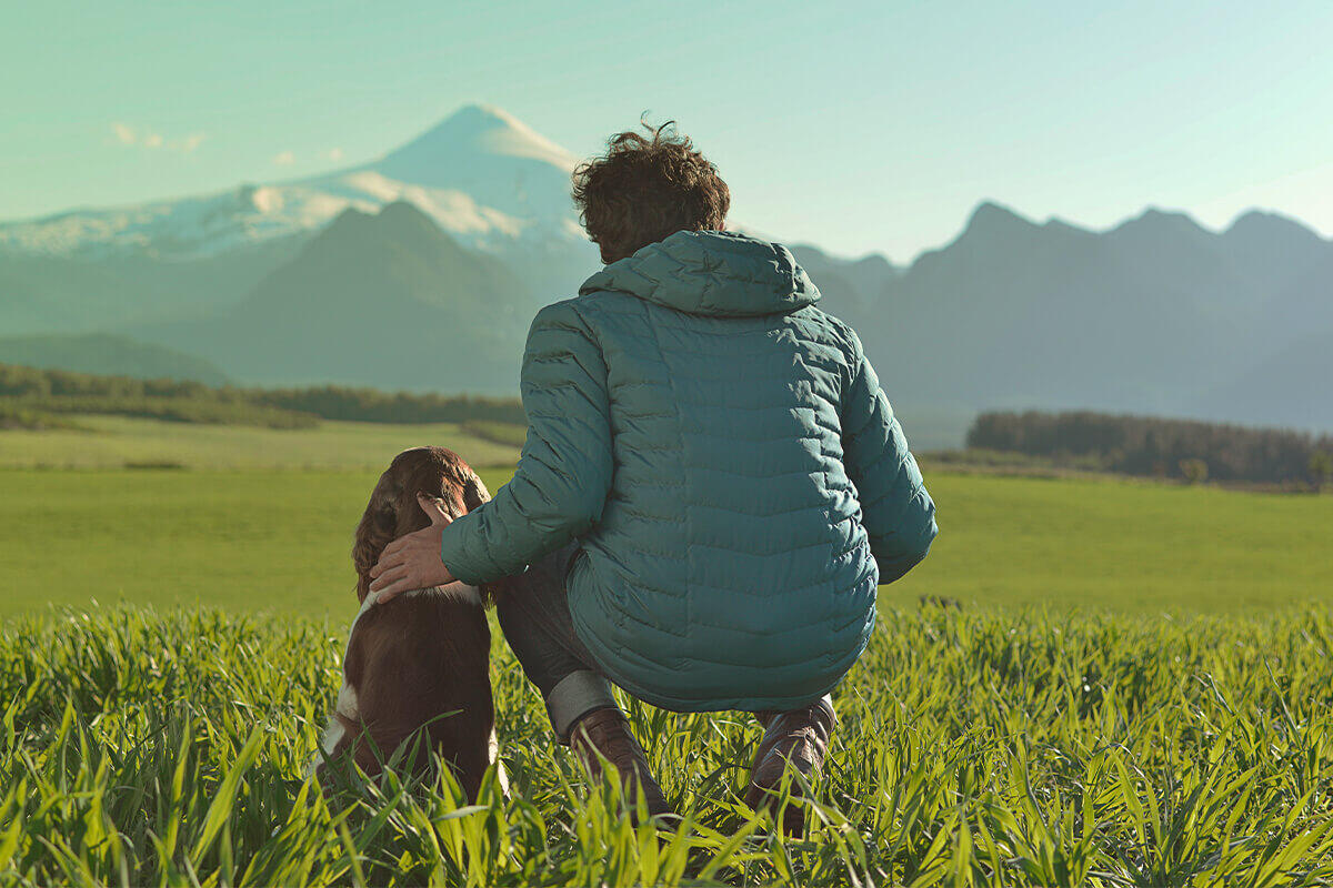 Chien et homme regardent la montagne Hond en man kijken naar de berg