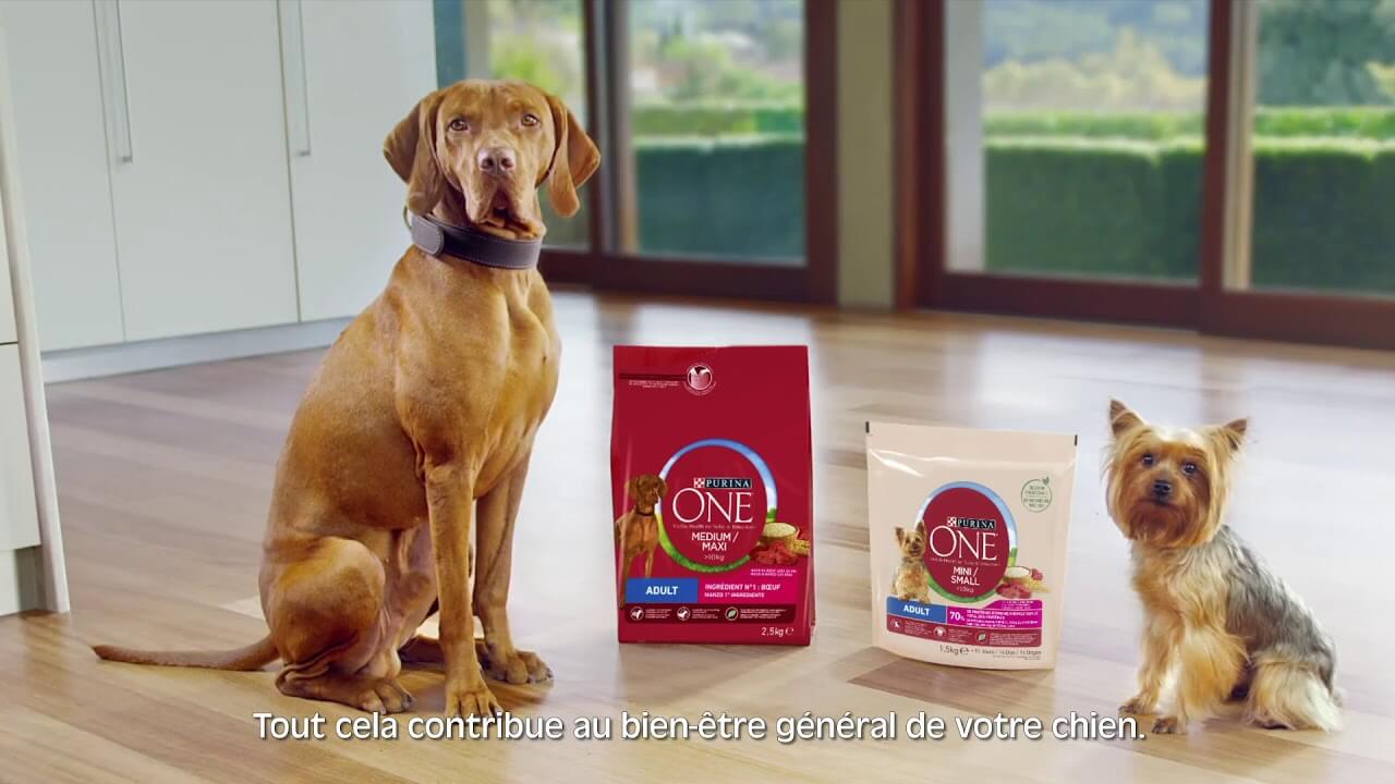 PURINA ONE® nourriture pour chiens PURINA ONE®