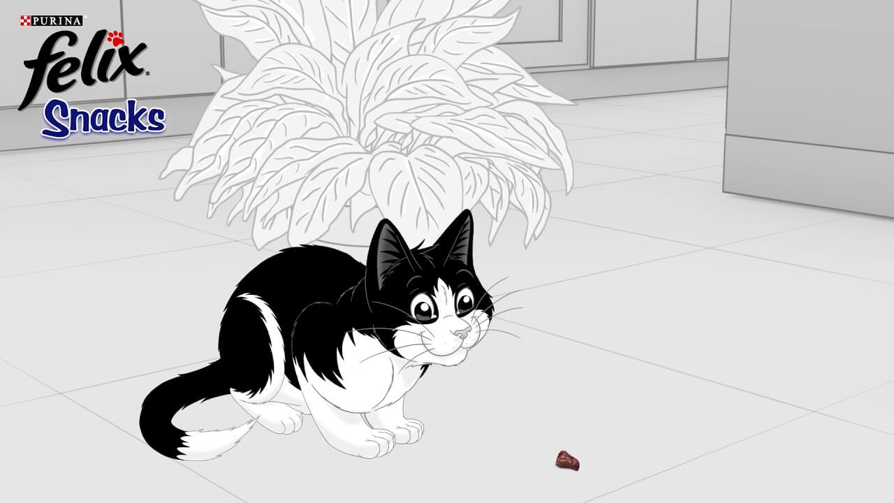 Felix Alimentation Et Friandises Pour Chats Futes